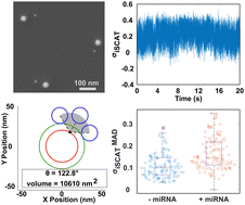 Graphical abstract: Detecting conformational changes in switchable heterodimer plasmon rulers through iSCAT fluctuation microscopy