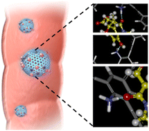 Graphical abstract: Customized porous aromatic frameworks (PAFs) as an oral antidote for efficient and selective intestinal detoxification