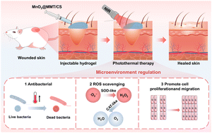 Graphical abstract: A biomimetic nanoclay hydrogel with cascade catalytic and photothermal functions for wound therapy