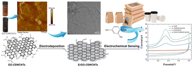 Graphical abstract: An electroanalytical approach for the detection of 2,4-diaminotoluene based on electrochemically reduced graphene oxide–carboxylic single walled carbon nanotubes