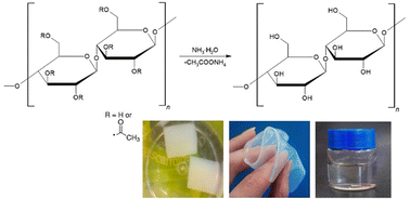 Graphical abstract: Preparation and characterization of a highly porous, rigid cellulose-based hydrogel for biomedical and biotechnological applications