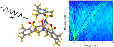 Graphical abstract: Probing magnetic and vibrational properties of trigonal-bipyramidal Co(ii) and Ni(ii) complexes using advanced spectroscopies