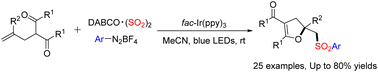 Graphical abstract: Photoredox-catalyzed synthesis of sulfonated dihydrofurans from olefinic carbonyls through the insertion of sulfur dioxide