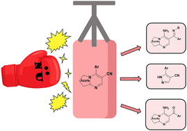 Graphical abstract: ANRORC-type reactions of azolo[1,5-a]pyrimidine-6-carbonitriles with O- and N-nucleophiles