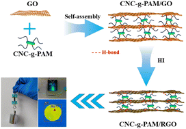Graphical abstract: Regulating nacre-like reduced graphene oxide based composites with polymer-grafted cellulose nanocrystals to achieve high strength, toughness and electrical/thermal conductivity