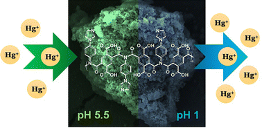 Graphical abstract: Effective mercury removal by a new imidazole-functionalized polyamide for wastewater treatment: experimental and theoretical studies