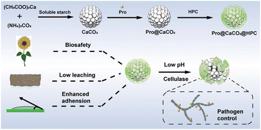 Graphical abstract: Hydroxy propyl cellulose-coated and prochloraz-loaded calcium carbonate carriers with pH/cellulose responsiveness for environmentally-safe fungicide delivery