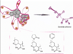 Graphical abstract: Water-dispersible nanocomposites of fullerene C60 and polymer-stabilized silver nanoparticles: preparation, physico-chemical properties, and antifungal activity