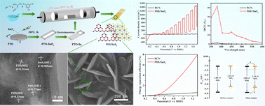 Graphical abstract: In situ preparation of a PHI/SnS2 heterojunction photoanode towards photoelectrochemical applications