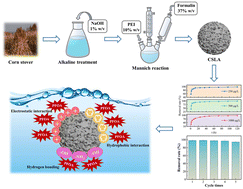 Graphical abstract: Adsorption of low-concentration perfluorooctanoic acid on corn stover-based lignin amine by synergy of electrostatic and hydrophobic interactions