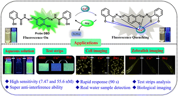Graphical abstract: A novel colorimetric “on–off–on” fluorescent probe based on tris(salicylaldehyde) for the sequential recognition of Cu2+/Hcy and its application in bioimaging