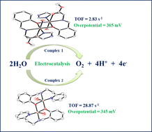 Graphical abstract: Electrocatalytic water oxidation activity of phenolate-bridged dinuclear copper(ii) complexes in alkaline phosphate buffer