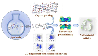 Graphical abstract: Insights into the spodium bonding characteristics of a bactericidal Hg(ii) complex