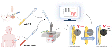 Graphical abstract: A near-infrared driven Ti2O3–TiO2-based photoelectrochemical sensor for detecting ascorbic acid based on the principle of photocurrent polarity reversal