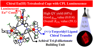 Graphical abstract: Chiral Eu(iii) tetrahedral cage: circularly polarized luminescence induced by an ancillary chiral terpyridyl ligand