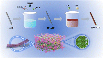 Graphical abstract: Green synthesis of polydopamine-modified attapulgite: a sustainable solution for mitigating carbon steel corrosion in amino-sulfonic acid-laden environments