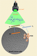 Graphical abstract: BODIPY-carbazole multichromophoric systems for green LED-assisted photodynamic therapy of breast cancer: synthesis, optoelectronic properties, DFT and antitumor studies