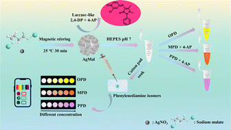 Graphical abstract: Highly active silver-based laccase-like nanozyme for colorimetric distinction and detection of phenylenediamine isomers