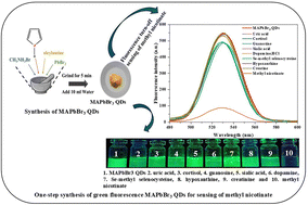 Graphical abstract: One-step synthesis of water stable MAPbBr3 quantum dots for the fluorescence detection of methyl nicotinate as a tuberculosis biomarker