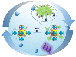 Graphical abstract: A fluorescent sensor utilizing quinoline-functionalized UiO-66 for the detection and removal of zinc ions from aqueous solutions