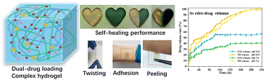 Graphical abstract: A dual drug delivery system based on high toughness PAM/Gel hydrogels blended with chitosan microspheres