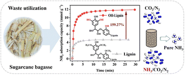 Graphical abstract: Repurposing waste sugarcane bagasse as a green and sustainable adsorbent for efficient and reversible capture of low-concentration ammonia