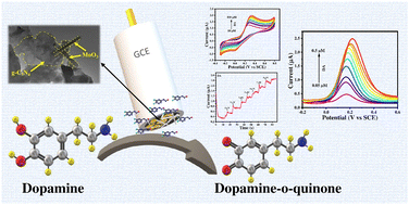 Graphical abstract: Ultrasensitive electrochemical detection of dopamine using an engineered 1D/2D MoO3/g-C3N4 nanohybrid