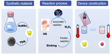 Graphical abstract: Point-of-care biosensors for uric acid based on target-induced changes in the photothermal effect of gold nanostars using a thermometer as a readout device