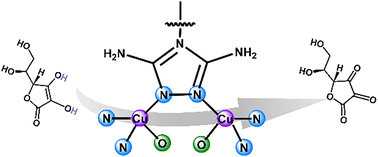 Graphical abstract: Mimicking ascorbic acid oxidase-like catalysis over adjacent dicopper centers