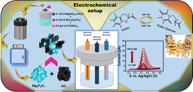 Graphical abstract: Hydrothermally synthesized magnesium phosphate decorated with graphene oxide hybrid composite for high-performance electrochemical detection of Trolox