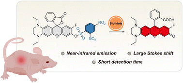 Graphical abstract: A colorimetric and near-infrared fluorescent probe with large Stokes shift for biothiol bioimaging