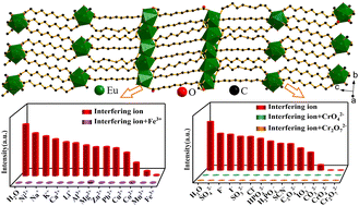 Graphical abstract: Two structural types of lanthanide MOFs based on long-chain flexible sebacic acid: synthesis, luminescence, sensing, and magnetic properties