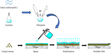 Graphical abstract: Synthesis and low-temperature surface decontamination performance of an ethyl cellulose-g-polyacrylate detergent