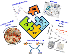 Graphical abstract: Gold(iii) complexes containing (non)protonated oligopyridines—unexpected results in cancer drug research
