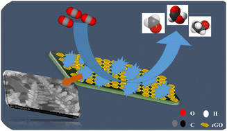 Graphical abstract: Soft-template-assisted electrodeposition of reduced graphene oxide–copper nanoelectrocatalysts for the carbon dioxide reduction reaction