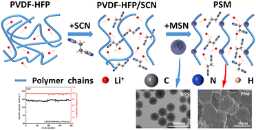 Graphical abstract: Plasticized composite electrolytes with mesoporous silica nanoparticle-reinforced PVDF–HFP for solid-state lithium–metal batteries