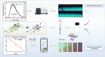 Graphical abstract: A novel benzopyran-based fluorescent sensor for the selective detection of Hg2+ ions