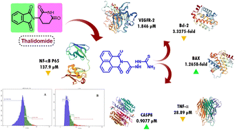 Graphical abstract: Naphthalimide derivatives as thalidomide analogs; design, synthesis, and molecular docking of novel anticancer immunomodulatory agents