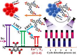 Graphical abstract: Design of a Eu3+-post-synthetic modified MOF ratiometric fluorescent probe for recyclable recognition of light green SF