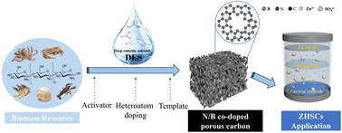 Graphical abstract: Chitosan-derived N/B co-doped hierarchical porous carbon prepared using deep eutectic solvents and its application in Zn-ion hybrid supercapacitors