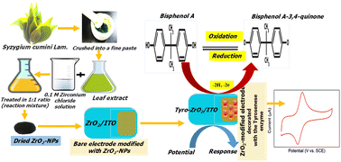 Graphical abstract: Plant-derived zirconia nanoparticles from Syzygium cumini Lam. leaf extract for the ultrasensitive electrochemical detection of endocrine disruptor bisphenol-A
