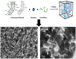 Graphical abstract: A PVP-assisted Fenton approach for MWCNT purification and its application in conductive hydrogel fabrication