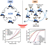 Graphical abstract: Harnessing Co/Mo dual-atom synergy on N,P-carbon nanofibers for superior bifunctional water splitting
