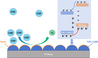 Graphical abstract: One-step ultrasound-assisted synthesis of a MoO3/NiFe LDH heterojunction for an efficient oxygen evolution reaction