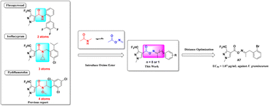 Graphical abstract: Novel succinate dehydrogenase inhibitors containing oxime ester structures: design, synthesis, and biological activities