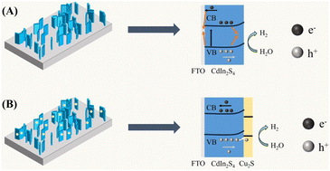Graphical abstract: Utilizing the synergistic effect between p–n junction construction and field redistribution to achieve a high photocurrent density Cu2S/CdIn2S4-based photoanode material for next-generation green clean energy