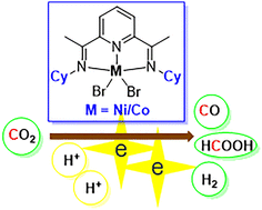 Graphical abstract: Comparison of the structure–activity relationship of the bis(imino)pyridine pincers of nickel and cobalt for the electrochemical reduction of CO2