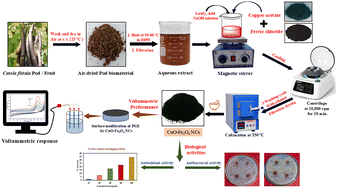 Graphical abstract: Exploring the electro-kinetic behaviour of naftopidil at a pencil graphite electrode fabricated with green synthesized CuO–Fe3O4 nanocomposites