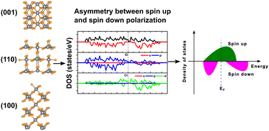 Graphical abstract: Unveiling the spin polarization mechanism in half-metallic CrO2 regulated by crystal plane orientation