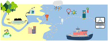 Graphical abstract: Sensitive detection of early growth of Skeletonema costatum using a gold-doped carbon sphere-gold nanoparticle electrochemical biosensor